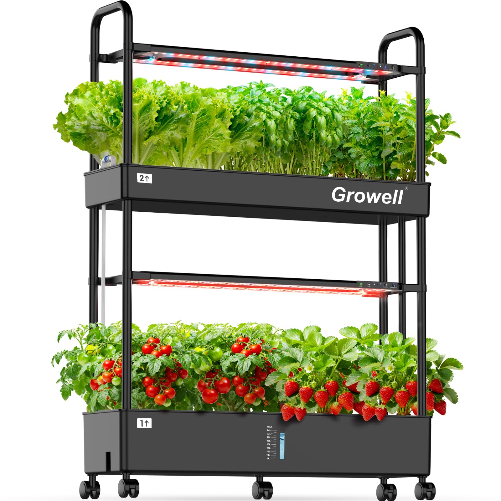Amazon.com: Growell 60-Pod Hydroponics Growing System, Large